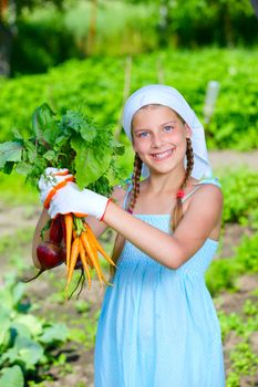 Vegetable garden - little gardener with bunch of organic carrots and beets. Vertical view