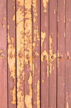 Old door, metal texture and background