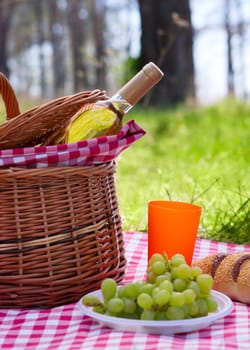 Picnic basket with wine bottle and grape at lawn