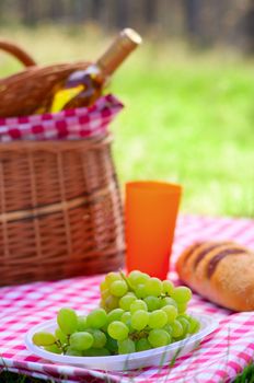 Picnic basket with bottle of wine and food in the woods