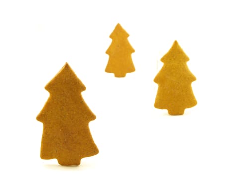 Gingerbread trees, upright towards white background