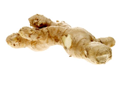 Raw Uncooked Fresh Root Ginger Aromatic Spice Isolated White Background