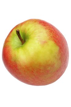 Single Gala Apple