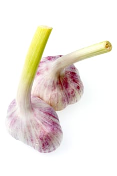 Garlic Clove