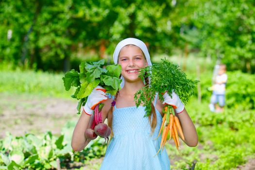 Vegetable garden - little gardener with bunch of organic carrots and beets