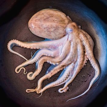 Small raw octopus on the pan