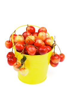 Perfect Ripe Yellow and Red Sweet Cherries in Yellow Tin Bucket isolated on white background