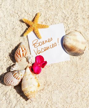 blank paper on white sand beach with starfish and shells like summer vacation background