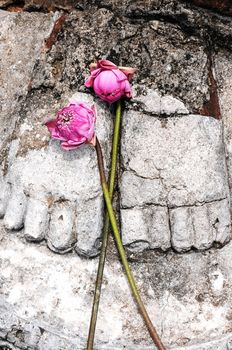 Statue of Buddha's feet with lotus flowers in the Historical Park of Sukhothai, Thailand