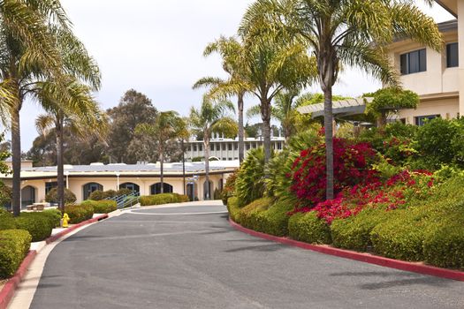 Architecture and park Point Loma Nazarene University california.