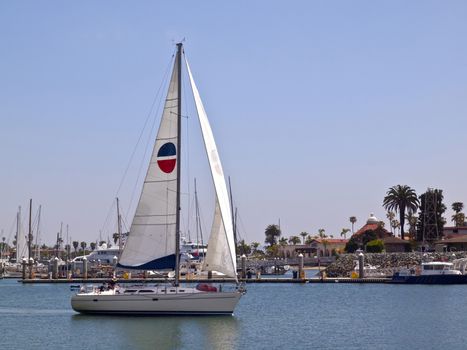 Sailboat cruising near Point Loma harbor California.