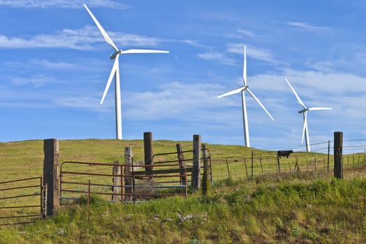 Wind turbines creating energy on a hillside in Eastern Washington.