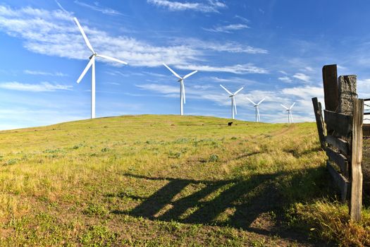 Wind turbines creating energy on a hillside in Eastern Washington.