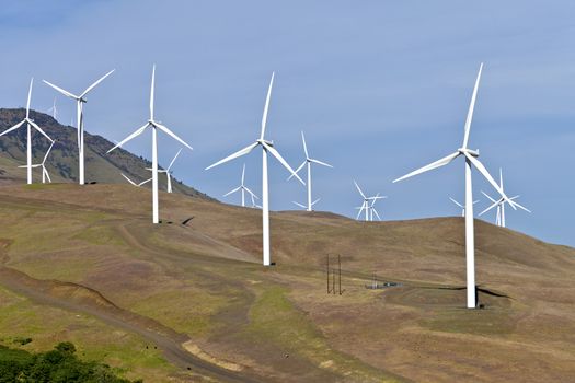 Wind turbines creating energy on a hillside in Eastern Washington.