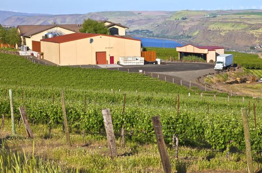 Maryhill winery Columbia river Gorge Washington state.