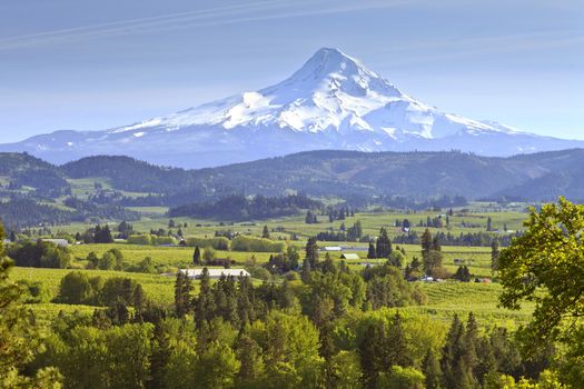 Mt. Hood and Hood River valley in Spring Oregon.