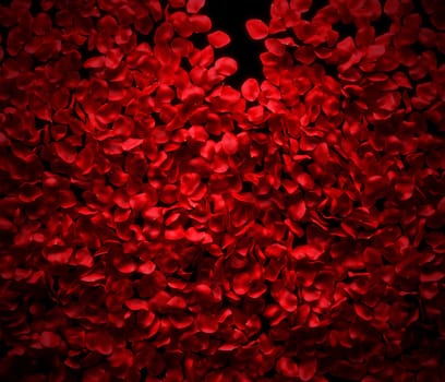 Rose petals background on black ground