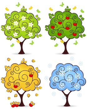 Four seasons of spring, summer, autumn, winter in a tree isolated on white background