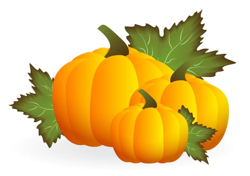 Three orange pumpkins with leaves isolated on white background