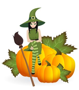 witch with a broom on the pumpkins isolated on white background