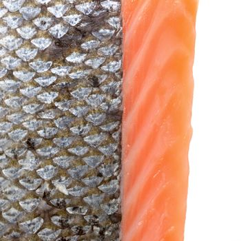 salmon fish scales on white