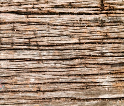 old rough wood texture