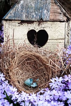 Broken blue egg lying in a nest in front of an old rustic bird house.
