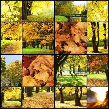collage of autumn landscapes