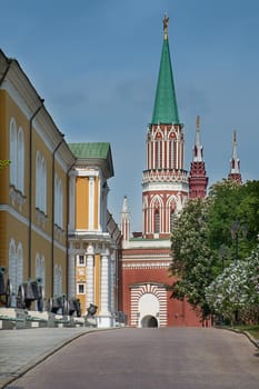 View of the Spasskaya Tower of the Moscow Kremlin