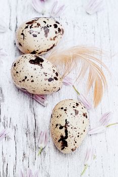 Fresh quail on a wooden background surrounded by chive flowers. 