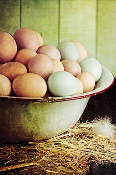 Textured image of an antique wash pan filled with colorful fresh farm raised eggs against a rustic background.