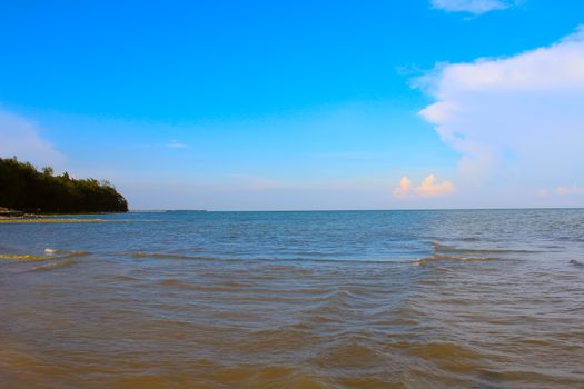 beach and tropical sea