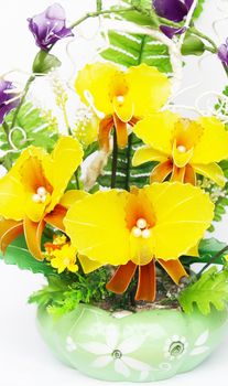 Beautiful flowers in vases isolated on white 