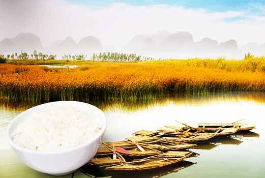 rice is the main food of vietnam