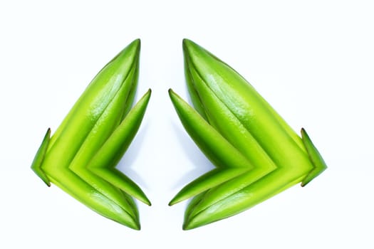 dragon fruit bud on tree