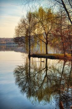 Tranquil and serene autumn scene: willow tree reflecting on lake or river water