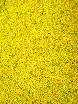 background yellow flowers