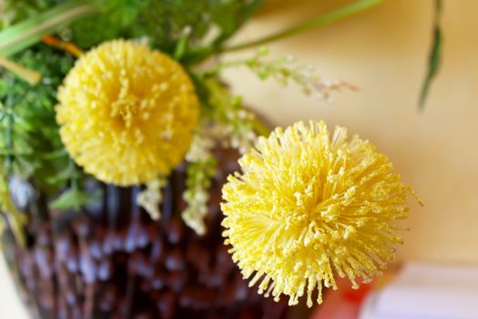 Macro view of yellow flower