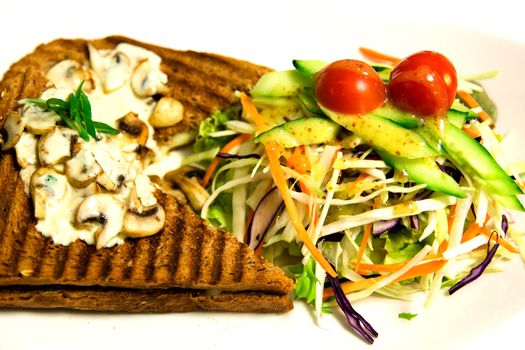 Fresh and delicious grilled sandwich with salad