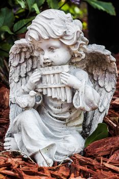 Close up picture of a statue angel playing an instrument 