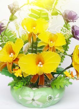 Beautiful flowers in vases isolated on white 