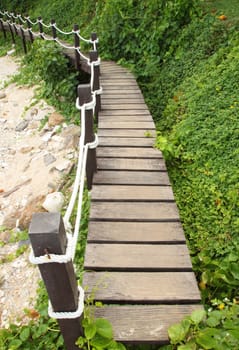 wooden walk way