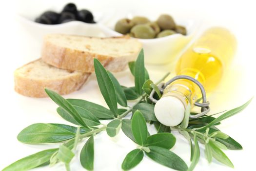 Bottle of olive oil with fresh olives, crispy baguette and olive branch on a bright background