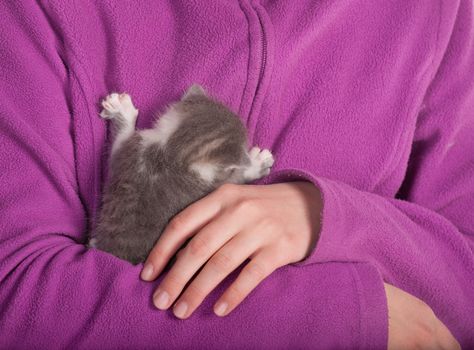 Girl embraces a baby cat.