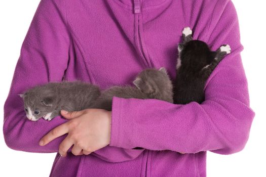 Girl holding three baby cats.