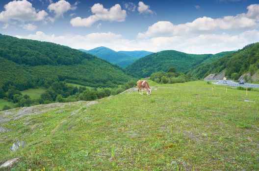 Beautiful mountain landscape on a summer day in Carpathians