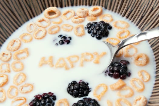 The words HAPPY spelled out of letter shaped cereal pieces floating in a milk filled cereal bowl.