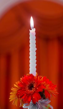 Candle decoration with Gerbera flower isolated from red curtain background
