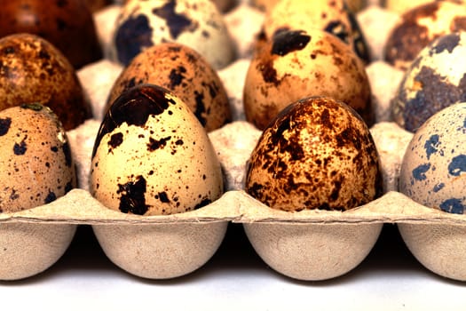 Speckled quail eggs in a carton box closeup