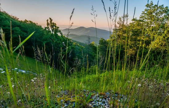 Blue Ridge Parkway Scenic Landscape Appalachian Mountains Ridges Sunrise Layers over Great Smoky Mountains